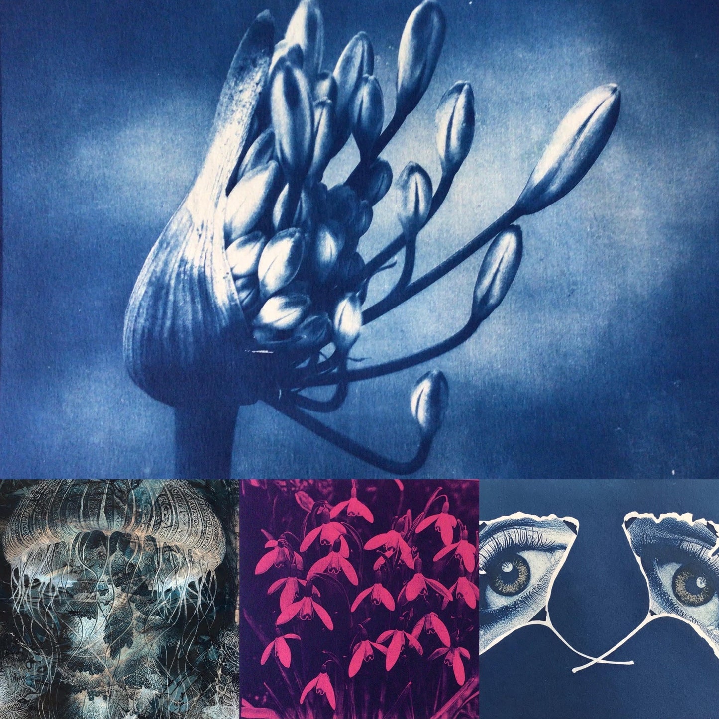 Cyanotype workshop with Mary Thomas
