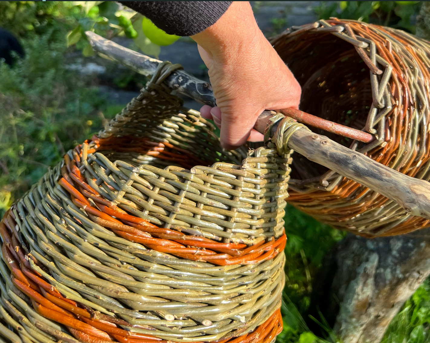 Asymmetrical willow Basket workshop with Maggie Evans