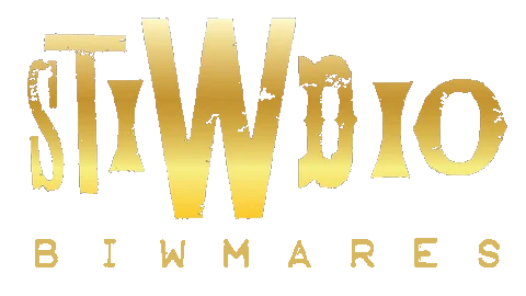 Stiwdio Biwmares